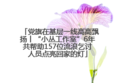 党旗在基层一线高高飘扬丨“小丛工作室”6年共帮助157位流浪乞讨人员点亮回家的灯
